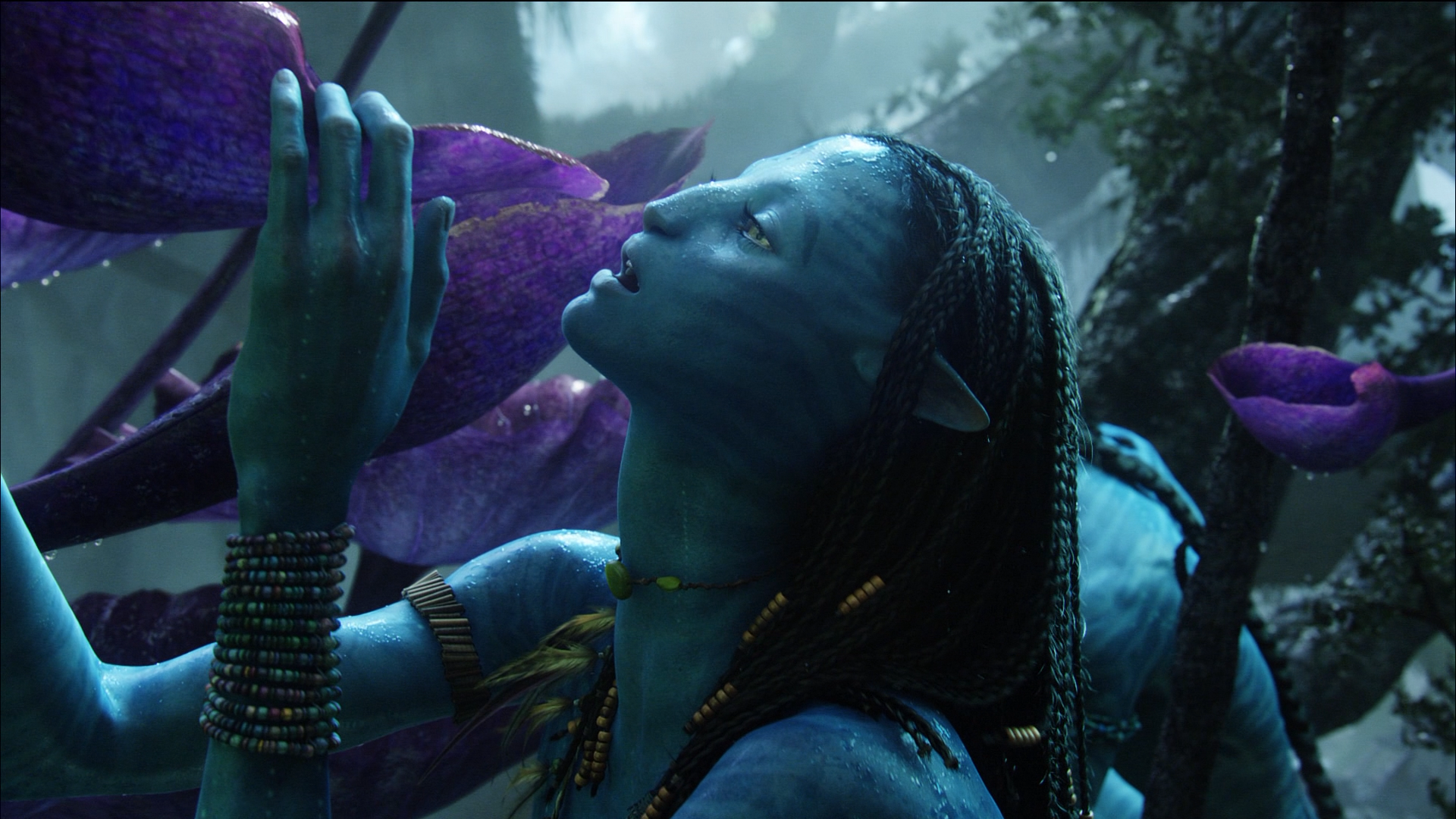 Photo from Avatar Film